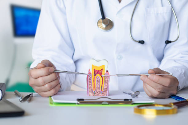Best Mobile Emergency Dentist in River Park, FL
